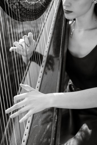 Harpist